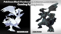 Pokemon Black and White: Reshiram and Zekrom